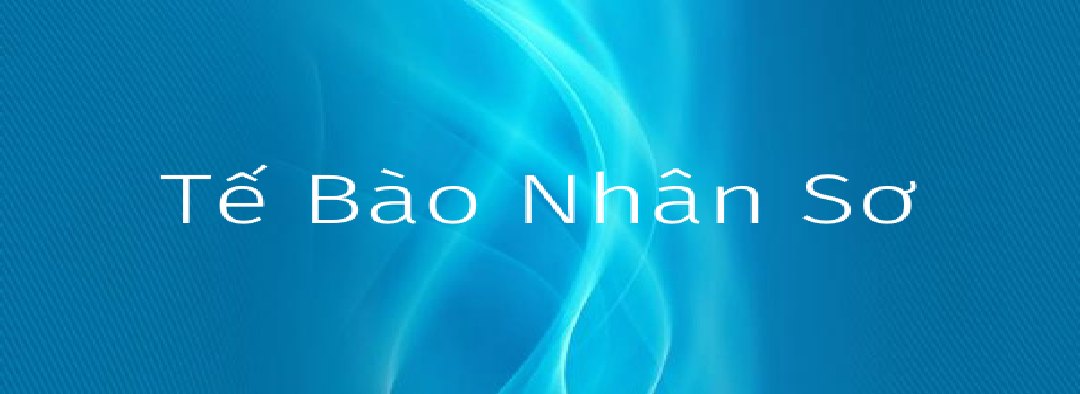 Tìm hiểu căn bản tế bào nhân sơ 