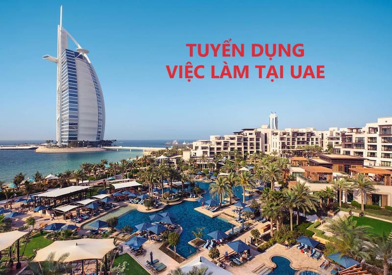 Nhu Cầu Tìm Kiếm Việc Làm Tại UAE Hiện Nay