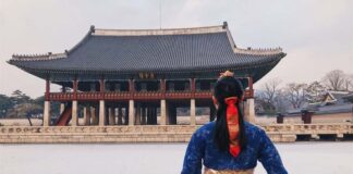 Du học Hàn nên học ngành gì dễ xin việc và học phí rẻ 2023 Du học Hàn nên học ngành gì theo xu hướng hiện nay?