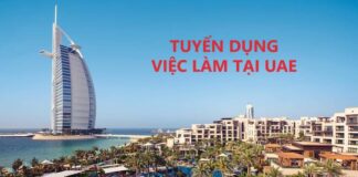 Vieclamuae.com – Nơi Đăng Tin Tuyển Dụng Việc Làm tại UAE Nhu Cầu Tìm Kiếm Việc Làm Tại UAE Hiện Nay